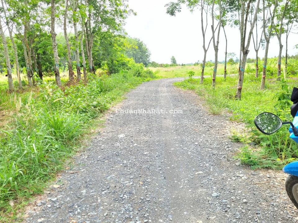 1024m2 LUK. 10m mặt tiền đường lớn. Kế bên KCN. 850tr. Đất lập vườn.