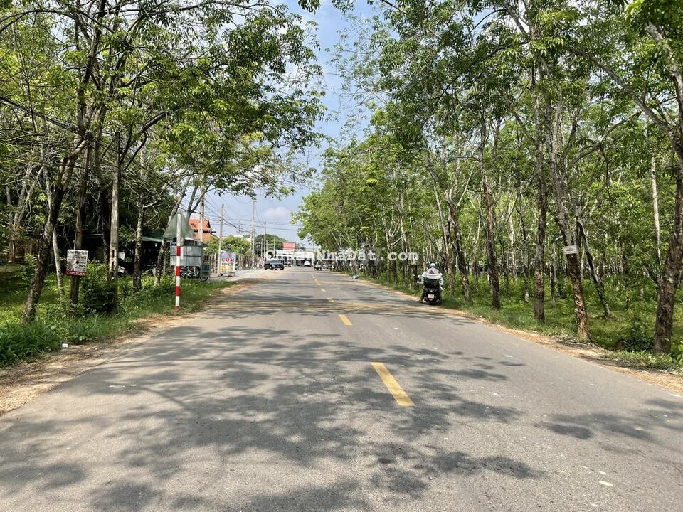 🔴 1 công đất xây biệt thự-1km đến KCN-Tặng ngay 4 chỉ vàng-100trm