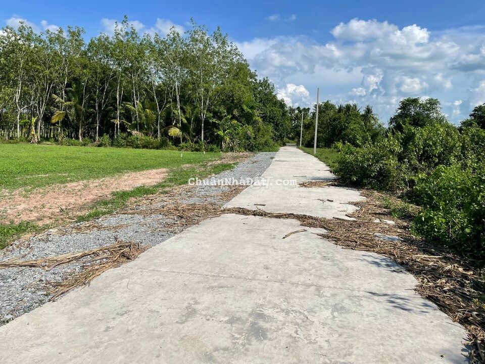 1130m2 chỉ 900 triệu. Sổ hồng riêng. Gần KCN