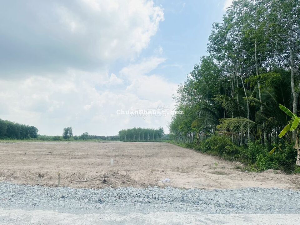 Mặt tiền đường bê tông 6x20 Full thổ. 490 triệu