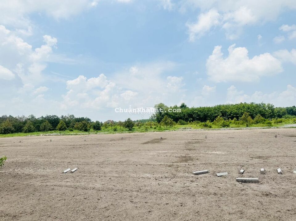 Đất đẹp Giá rẻ Hiếm Gặp 6x20 Sổ Hồng Riêng. Giá 360 triệu Đất đẹp Giá rẻ Hiếm Gặp 6x20 Sổ Hồng Riêng. Giá 360 triệu