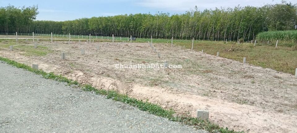 Giá 400tr. Đất đẹp hơn Ngọc Trinh DT 127m2 Giá 400tr. Đất đẹp hơn Ngọc Trinh DT 127m2