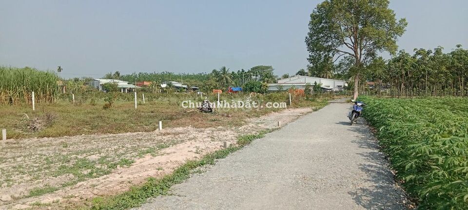 Giá 400tr. Đất đẹp hơn Ngọc Trinh DT 127m2 Giá 400tr. Đất đẹp hơn Ngọc Trinh DT 127m2