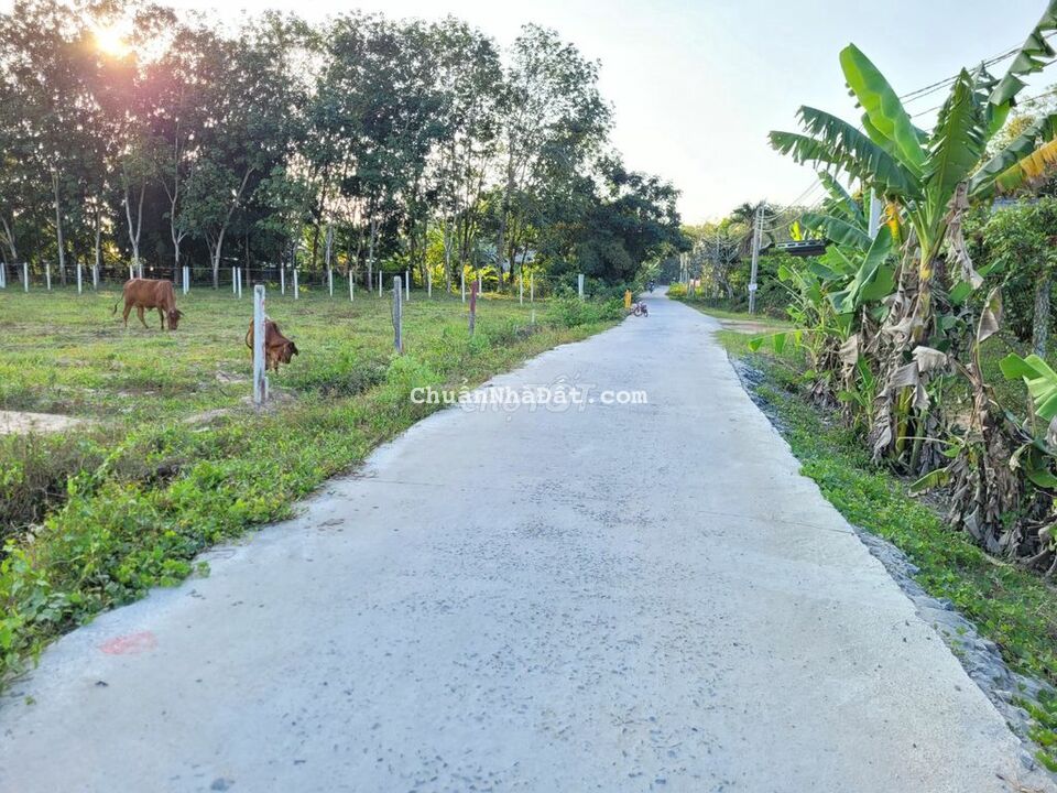 F0 6x23 và 5x23 full thổ cư.Gần KCN.350tr-380tr