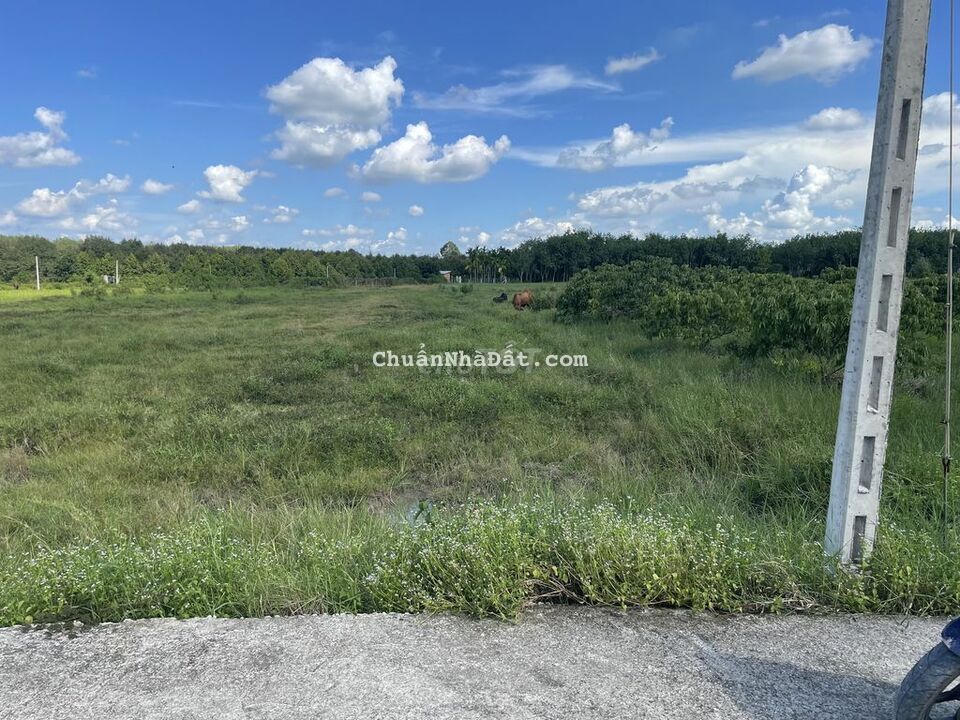 💥Ấp Suối Cao B-Phước Đông-Gò Dầu 5x27 Full Thổ Cư chỉ 530Tr