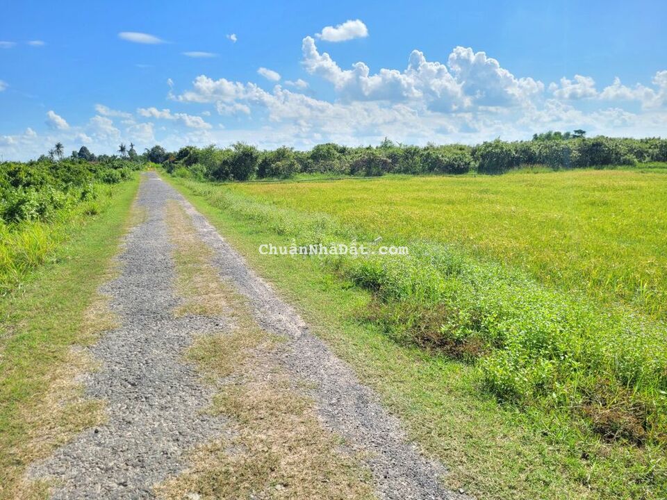 5x27 full thổ Phước Đông. Kế bên nhựa, gần KCN. 530tr TL mạnh