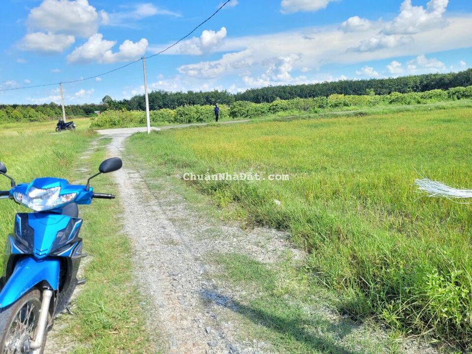 5x27 full thổ Phước Đông. Kế bên nhựa, gần KCN. 530tr TL mạnh