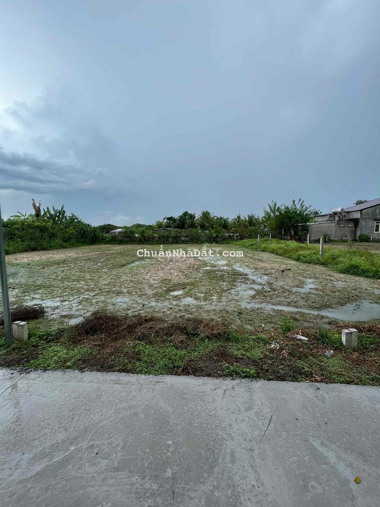 1/ đường 784 chỉ 1 nền bán nhanh trong tháng