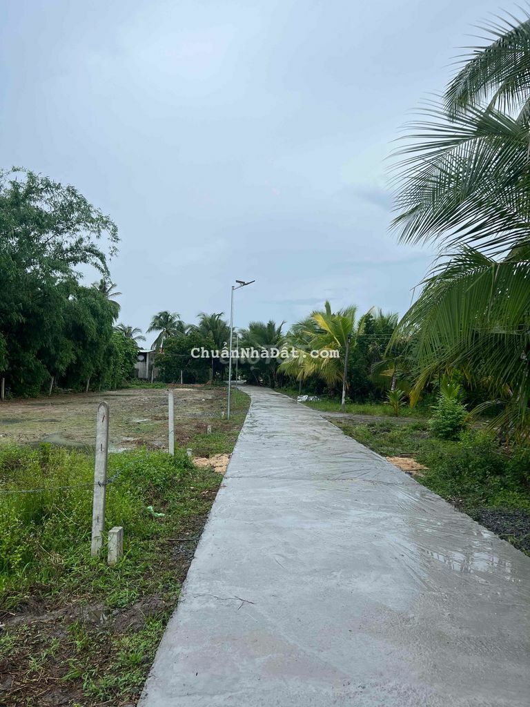 1/ đường 784 chỉ 1 nền bán nhanh trong tháng