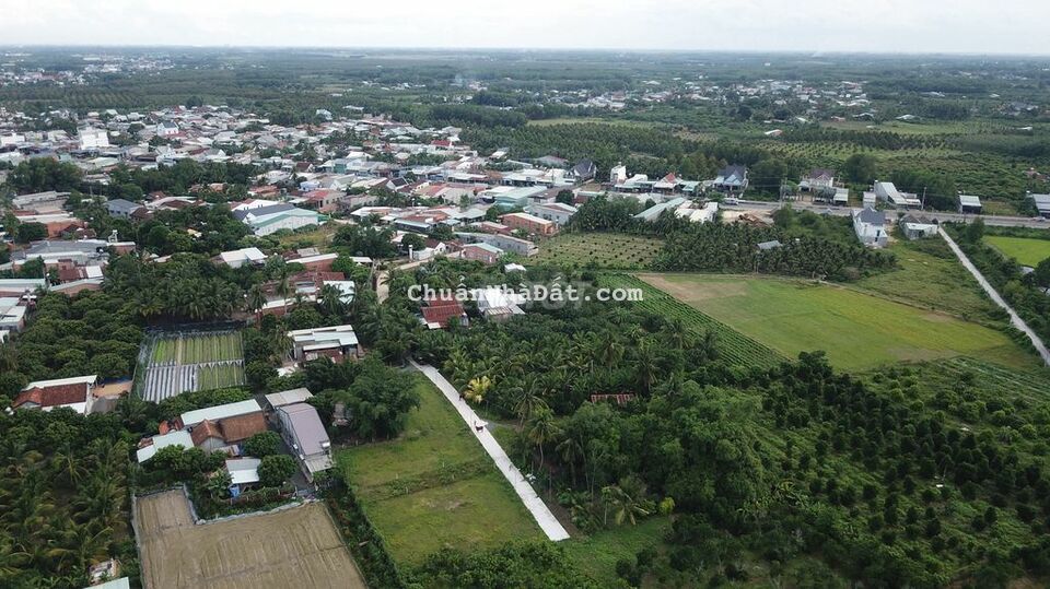 Đất mt đường betong 1/đường 784 đã có SHR