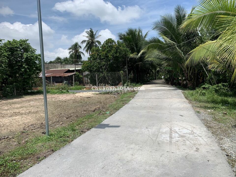 Đất mt đường betong 1/đường 784 đã có SHR