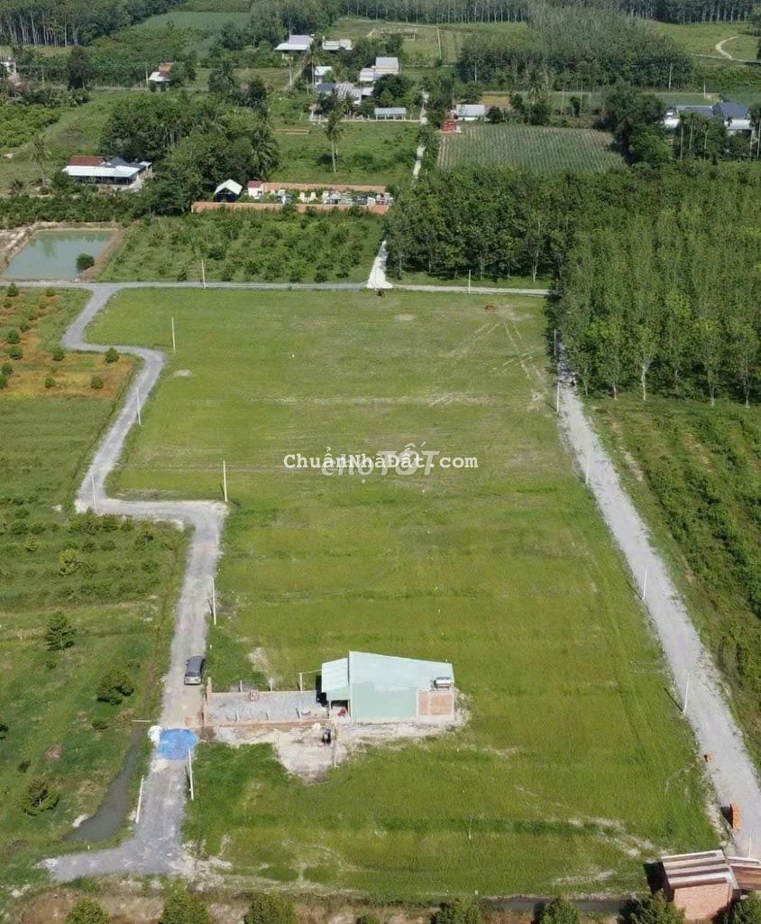 💥Hiệp Thạnh, Gò Dầu thực tế 6x24 Gần KCN Full Thổ cư, Giá chỉ 360Tr