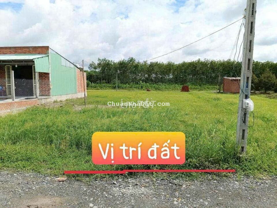 💥Hiệp Thạnh, Gò Dầu thực tế 6x24 Gần KCN Full Thổ cư, Giá chỉ 360Tr