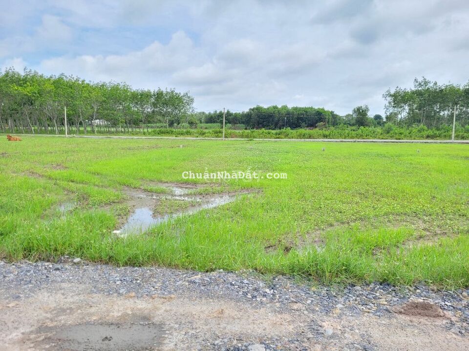 6x24 full thổ cư. Xe hơi tận đất. Dân cư hiện hữu. Kế bên KCN. 360tr