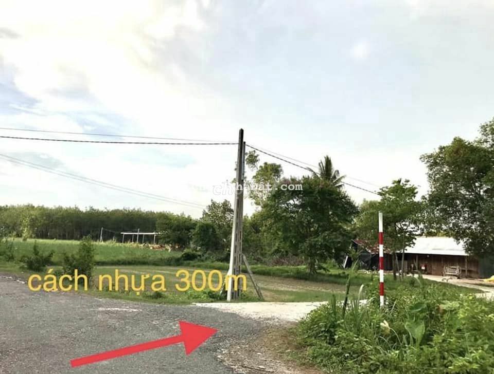 Lựa chọn đúng quan trọng hơn nổ lực. 6x24 Full thổ, Sổ hồng. 360tr Lựa chọn đúng quan trọng hơn nổ lực. 6x24 Full thổ, Sổ hồng. 360tr