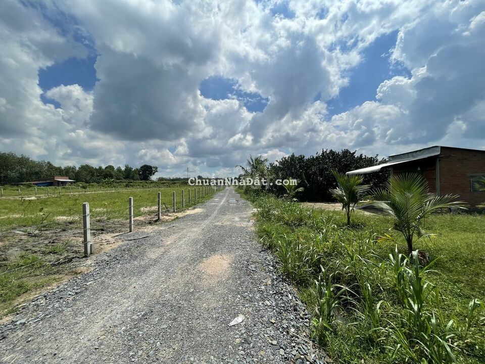 đất 5*30 Full thổ cư-Kế Hòa Thành QL22B 450tr đất 5*30 Full thổ cư-Kế Hòa Thành QL22B 450tr