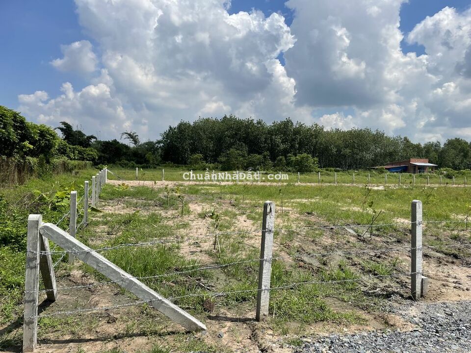 đất 5*30 Full thổ cư-Kế Hòa Thành QL22B 450tr đất 5*30 Full thổ cư-Kế Hòa Thành QL22B 450tr