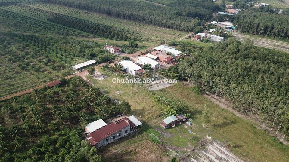 Đất 1/đường quốc lộ 22B đã có SHR + TC100%