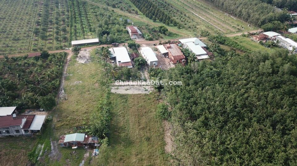 Đất 1/đường quốc lộ 22B đã có SHR + TC100%