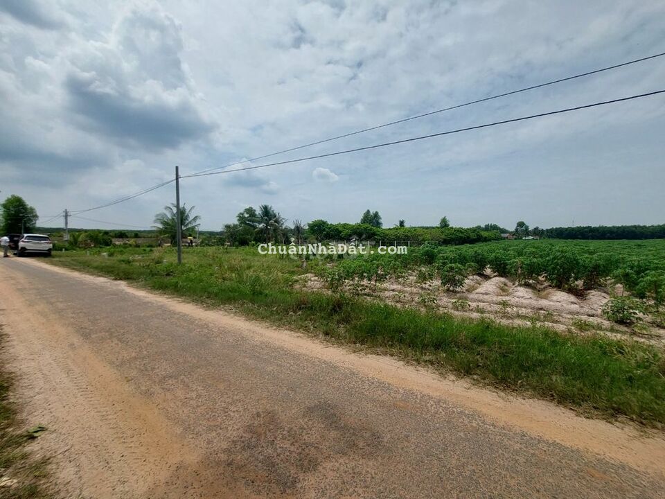 MT Nhựa Cẩm Giang, Gò Dầu 5x31m full thổ, Đất Cao Bằng Đường Chỉ 519tr