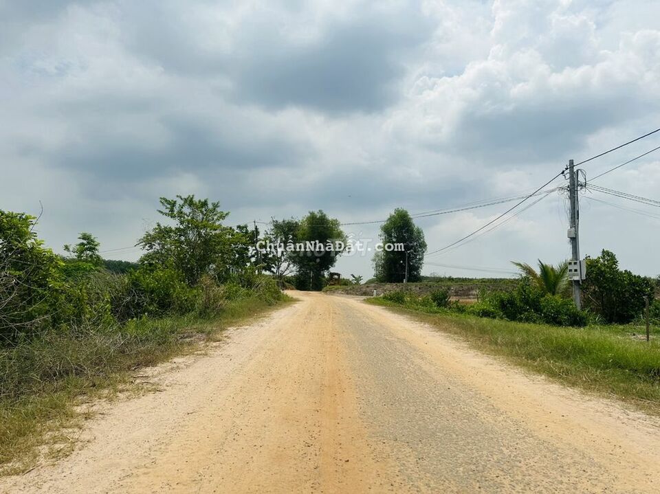 5*32. thổ cư. MT nhựa 499tr- 1/QL22 Gần tiện ích. HỖ TRỢ VAY NGÂN HÀNG