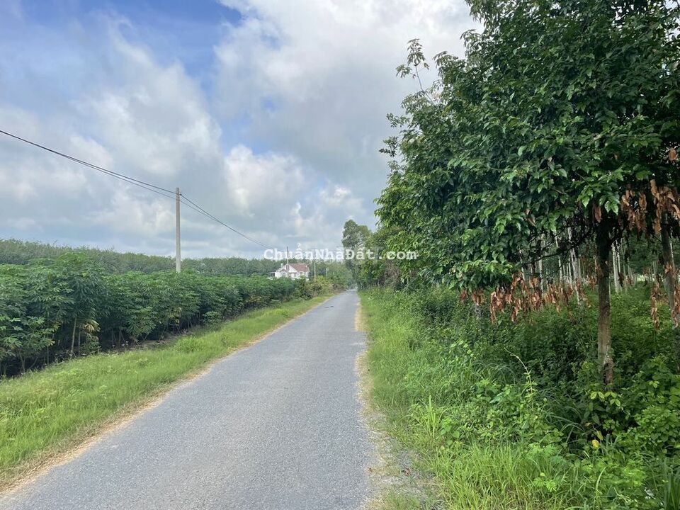 MT Nhựa 6m 1 Xẹt QL22B 5x32 Full TC chỉ 499tr. Chủ Ngộp nặng