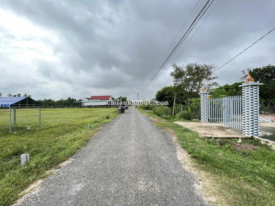 Đất đường nhựa cam kết giá ưu đãi nhất Gò Dầu đã có SHR Đất đường nhựa cam kết giá ưu đãi nhất Gò Dầu đã có SHR