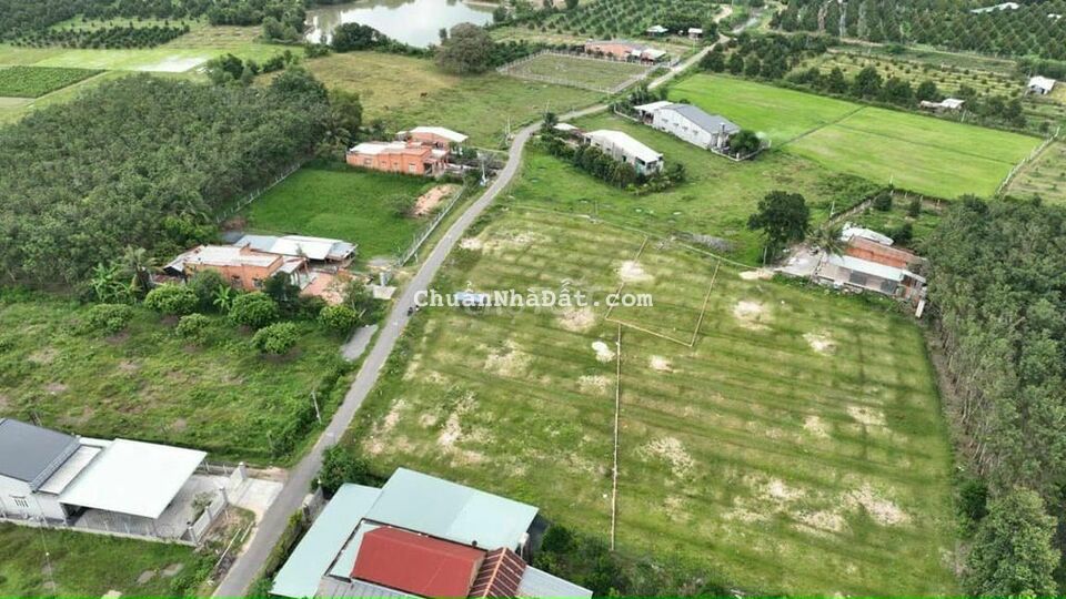 Đất đường nhựa cam kết giá ưu đãi nhất Gò Dầu đã có SHR Đất đường nhựa cam kết giá ưu đãi nhất Gò Dầu đã có SHR