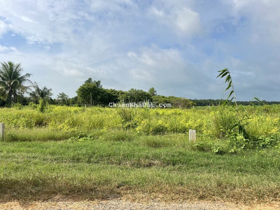 Siêu phẩm mặt tiền nhựa full thổ cư giá chỉ 519tr