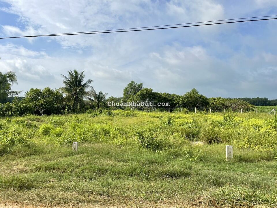 1 Xẹt QL22B, Đường Nhựa Full Tc 5x32 chỉ 520Tr, Tìm đâu ra 1 Xẹt QL22B, Đường Nhựa Full Tc 5x32 chỉ 520Tr, Tìm đâu ra