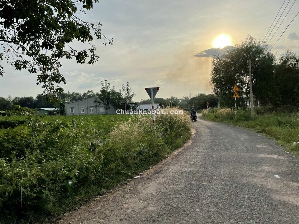 MT NHỰA 5x38 TC CHỈ 510TR PHƯỚC THẠNH GÒ DẦU MT NHỰA 5x38 TC CHỈ 510TR PHƯỚC THẠNH GÒ DẦU