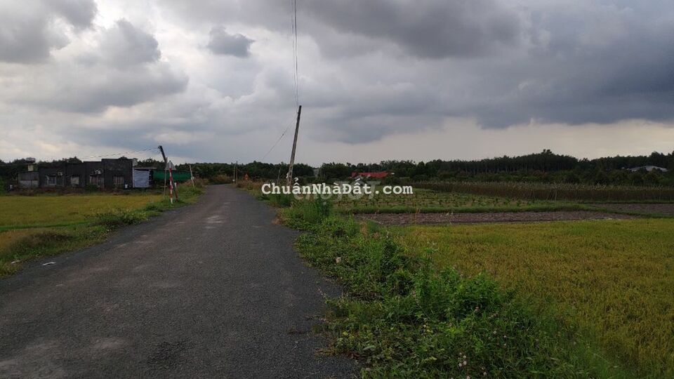 MT NHỰA 5x38 TC CHỈ 510TR PHƯỚC THẠNH GÒ DẦU MT NHỰA 5x38 TC CHỈ 510TR PHƯỚC THẠNH GÒ DẦU