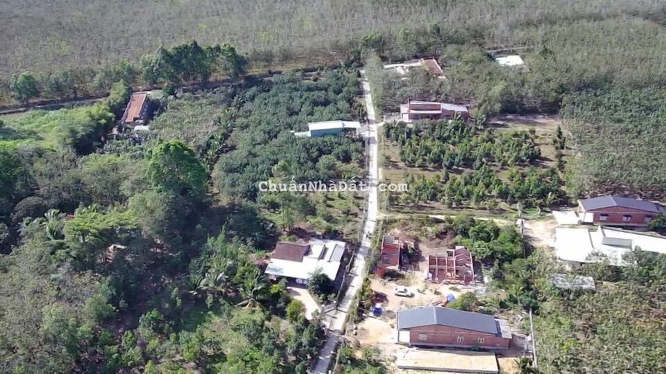 5*40. Đg xe hơi thông- 430tr- Cập Hông KCN Thạnh Đức- 5km/QL22. Gò Dầu