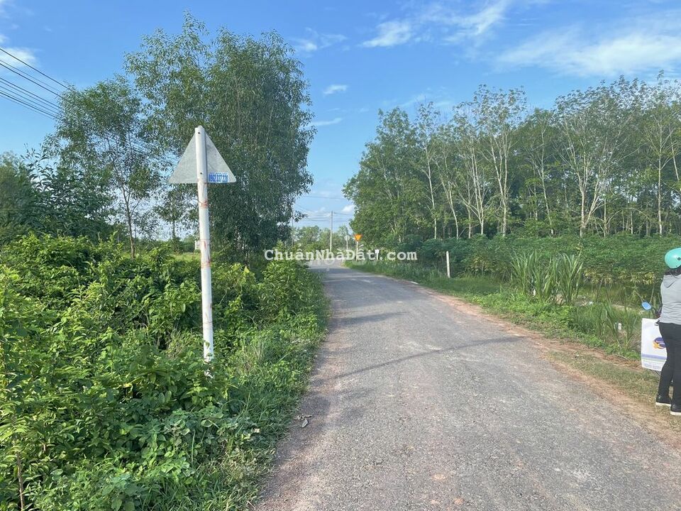 MT nhựa Phước Thạnh Gò Dầu, 5x40 150m2 thổ cư còn lại CLN chỉ 510tr