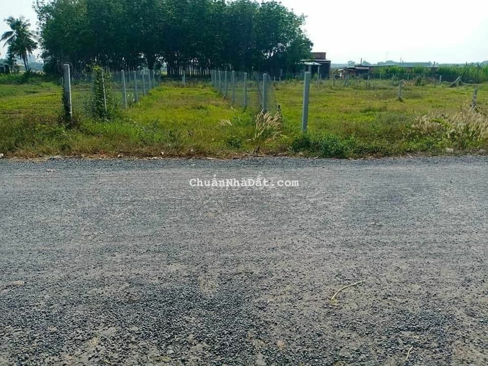 Bán gấp 200m2 đất ngay KCN Thạnh Đức, Gò Dầu, sổ hồng riêng, 550 triệu