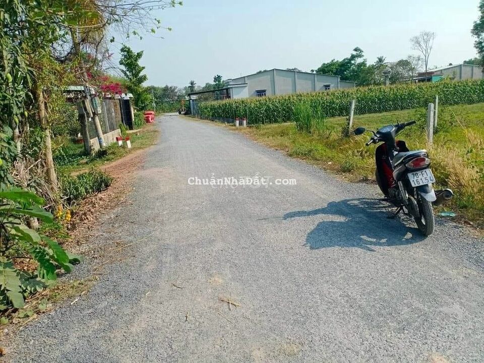 Bán gấp 200m2 đất ngay KCN Thạnh Đức, Gò Dầu, sổ hồng riêng, 550 triệu