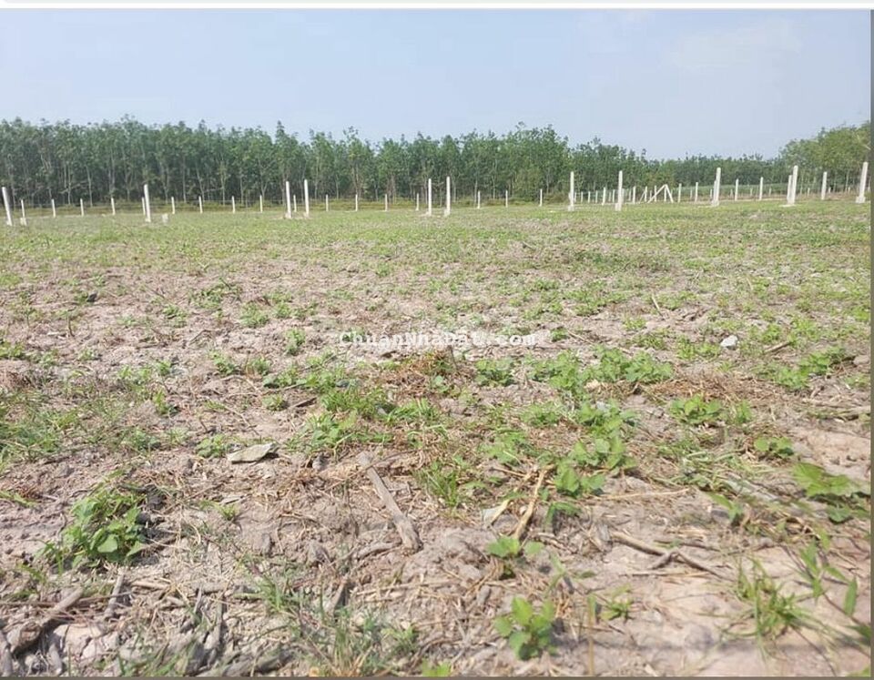 10x22.Full thổ, Gần KCN, 750tr. xe hơi tới đất