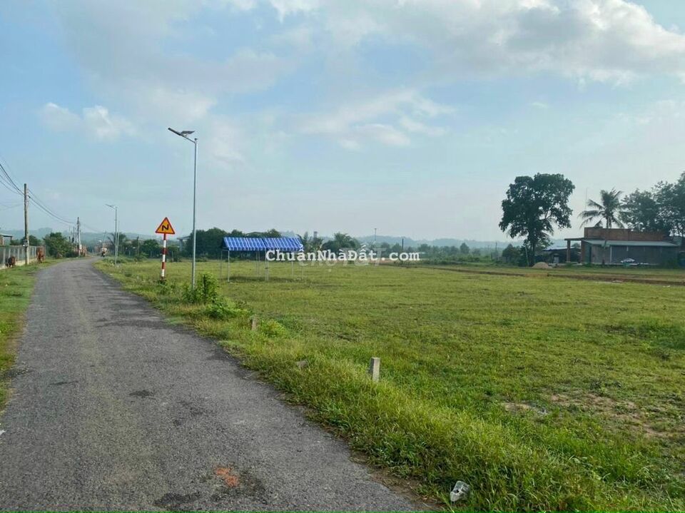 Đất vươn Sầu riêng có thổ cư diện tích lớn chỉ 600k/m2