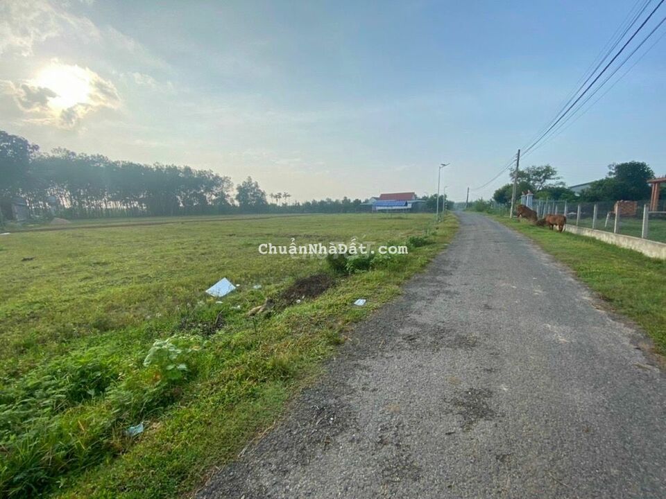 Đất vươn Sầu riêng có thổ cư diện tích lớn chỉ 600k/m2