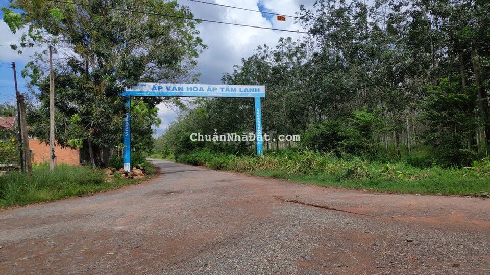 Cặp KCN Full TC chỉ 2.1tr/m2 Đường ô tô thông 5x52 chỉ 550Tr