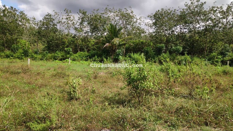 Cặp KCN Full TC chỉ 2.1tr/m2 Đường ô tô thông 5x52 chỉ 550Tr