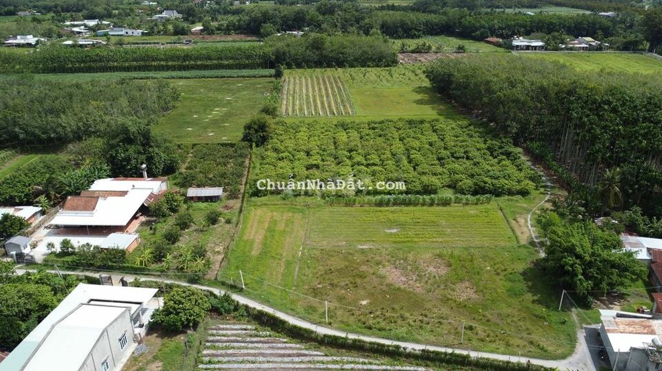 10m MT Nhựa Full thổ cư Hiệp Thạnh, Gò Dầu chỉ 1.3 tỷ