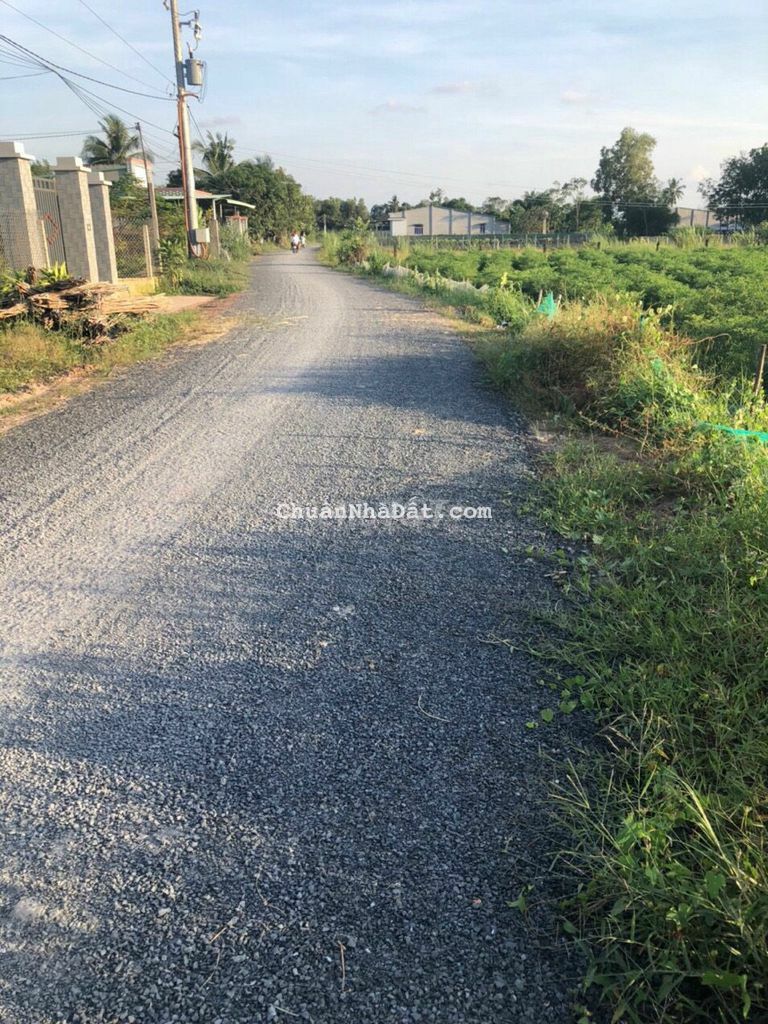 Bấn gấp 270m2 đất thổ cư ngay chợ Thạnh Đức, Gò Dầu, Shr, 580 triệu