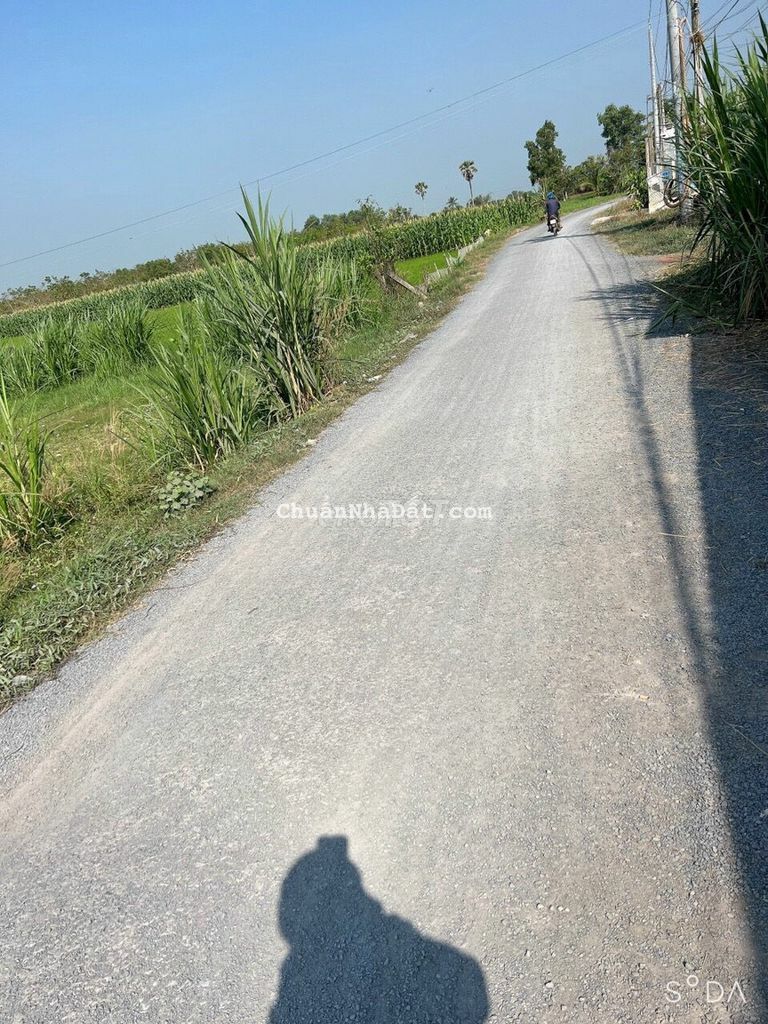 Bấn gấp 270m2 đất thổ cư ngay chợ Thạnh Đức, Gò Dầu, Shr, 580 triệu