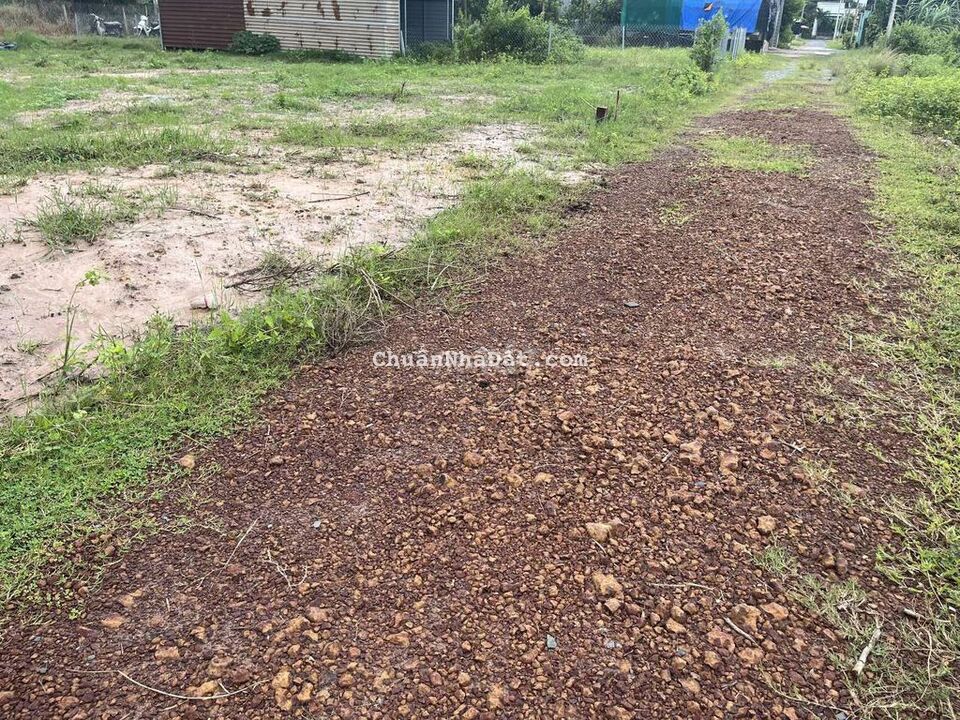 CẦN TIỀN BÁN GẤP ĐẤT 26×23MÉT, SỔ RIÊNG CÁCH KCN PHƯỚC ĐÔNG 1Km