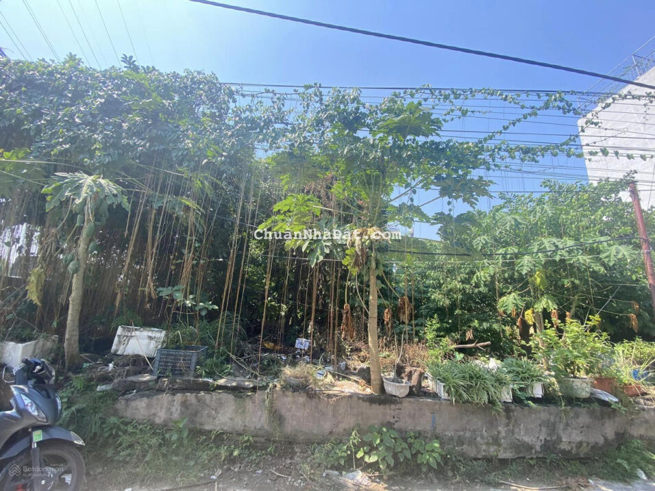 Bán mảnh đất gần quận ủy Hoàng Mai, lô góc 3 mặt thoáng, vỉa hè, kinh doanh, 200m2*MT 26m, 15.9tỷ Bán mảnh đất gần quận ủy Hoàng Mai, lô góc 3 mặt thoáng, vỉa hè, kinh doanh, 200m2*MT 26m, 15.9tỷ