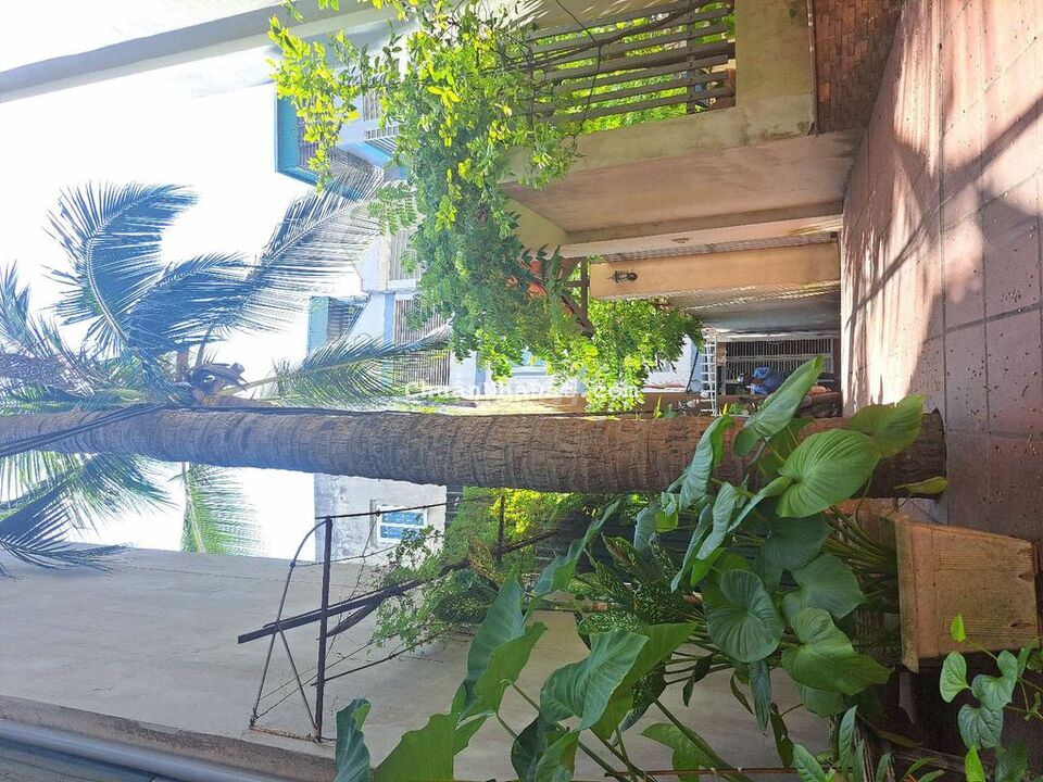 🔥BÁN ĐẤT TẶNG 2 NHÀ CẤP 4 ĐANG CHO THUÊ 50M2