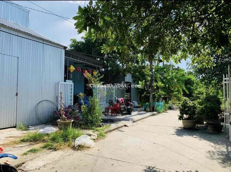 ĐẤT KHU QH PHÚ HẬU, CAO BÁT QUÁT, 67m2 chỉ 1,3 tỷ ĐƯỜNG rộng 8m