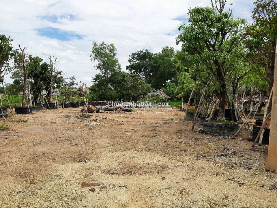 Đất Nền Núi Nhọn Thuận Yên Cách Bãi Bàng 500m