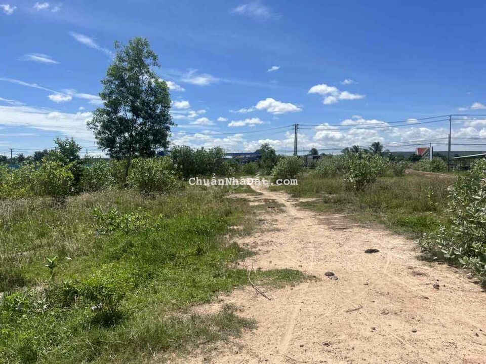 CẦN BÁN 2,5 XÀO MTKD QUỐC LỘ 1A BÊN HÔNG CHỢ HỒNG SƠN HÀM THUẬN BẮC CẦN BÁN 2,5 XÀO MTKD QUỐC LỘ 1A BÊN HÔNG CHỢ HỒNG SƠN HÀM THUẬN BẮC